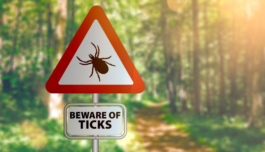 Time To Check For Ticks
